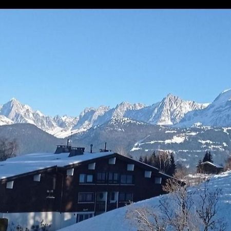 Studio Porte Du Mont Blanc Combloux Aux Pieds Des Pistes Exteriör bild